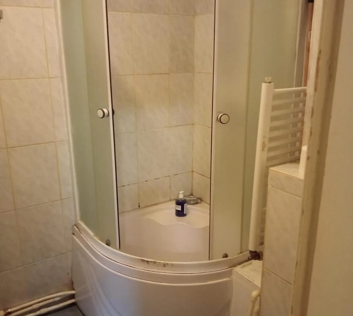 Romana City Center Studio Διαμέρισμα Βουκουρέστι 0*,
